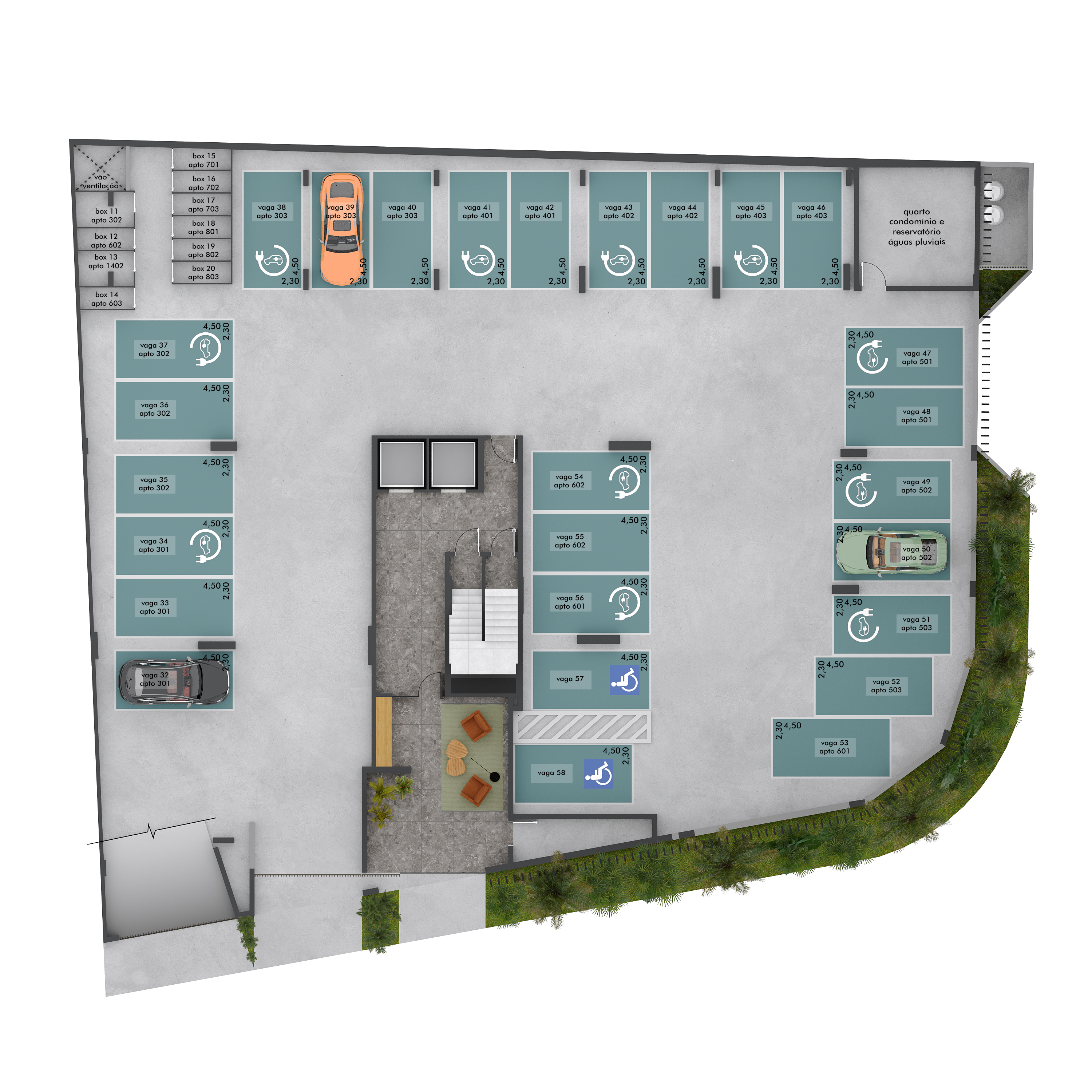 Planta -  - Viviane Campos