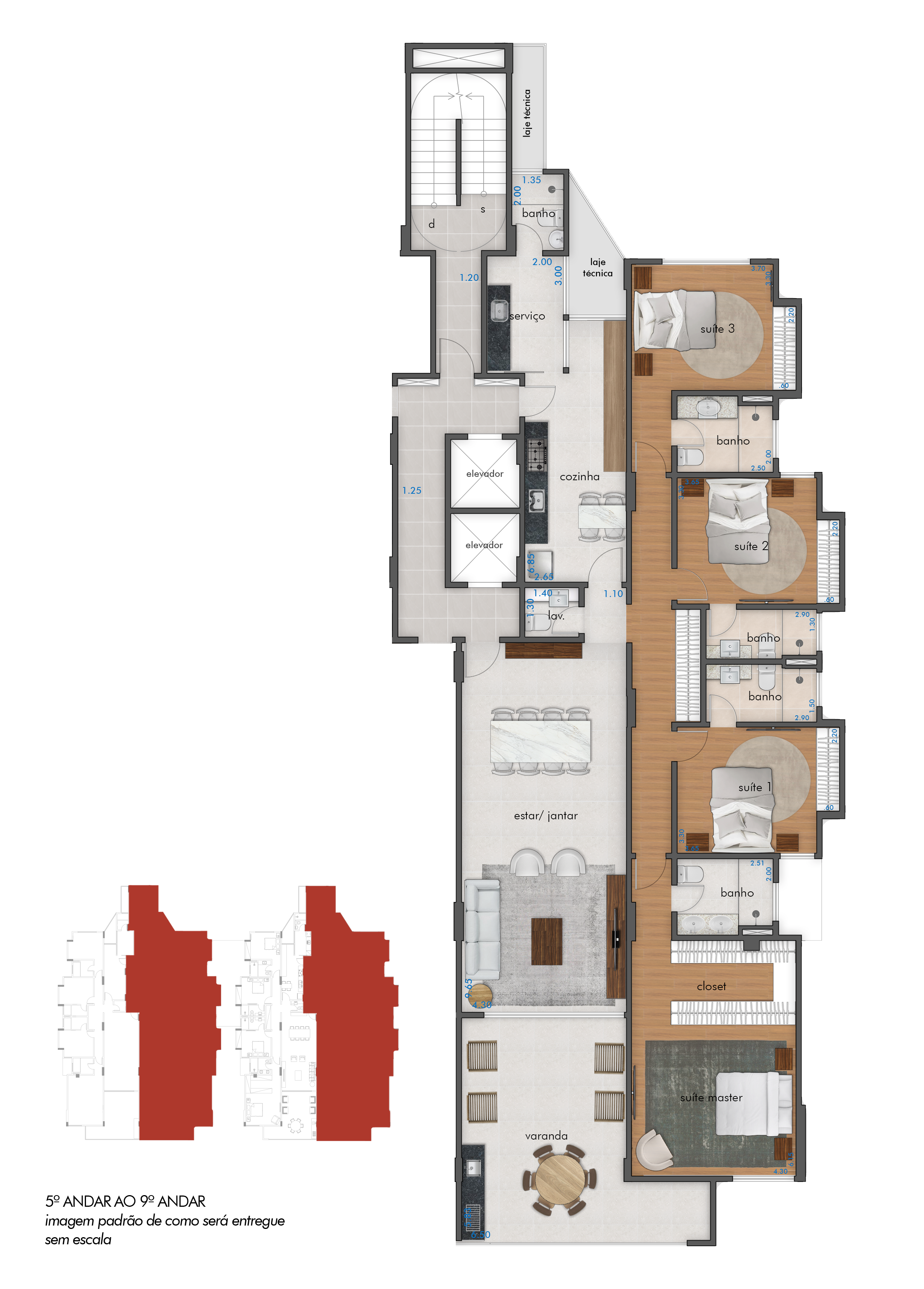 Planta -  - Viviane Campos